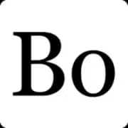 Bo AI