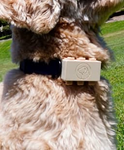furcast