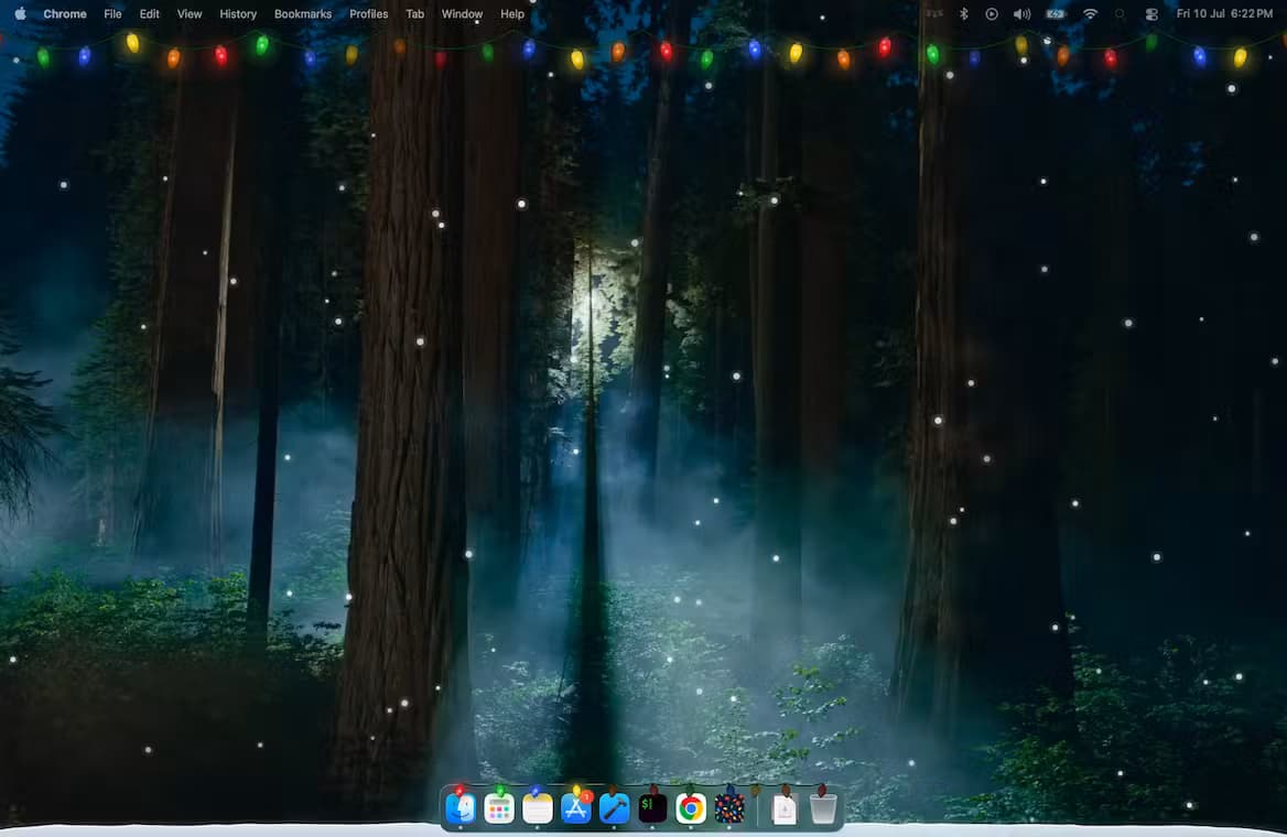 Holiday Lights