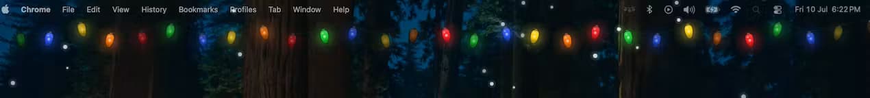 Holiday Lights