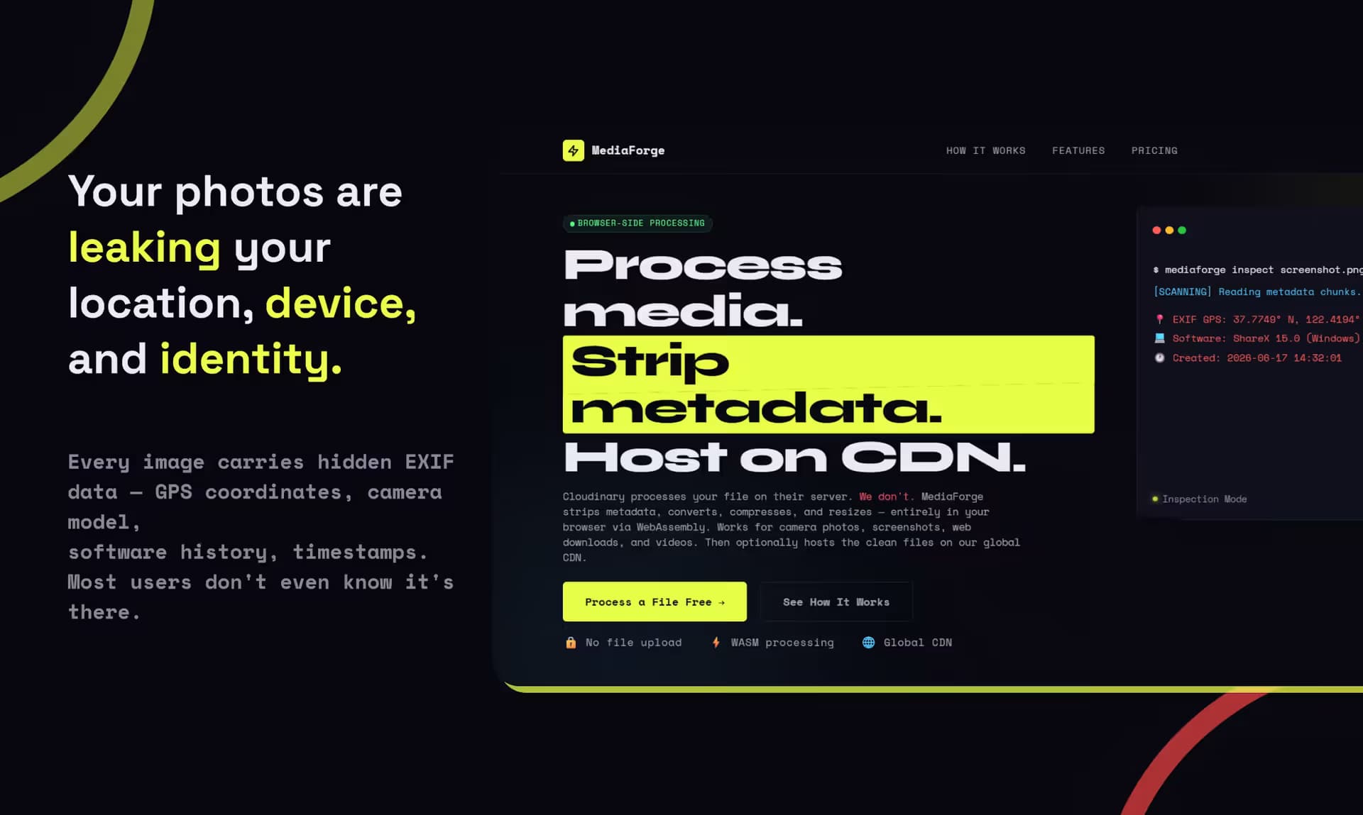 MediaForge
