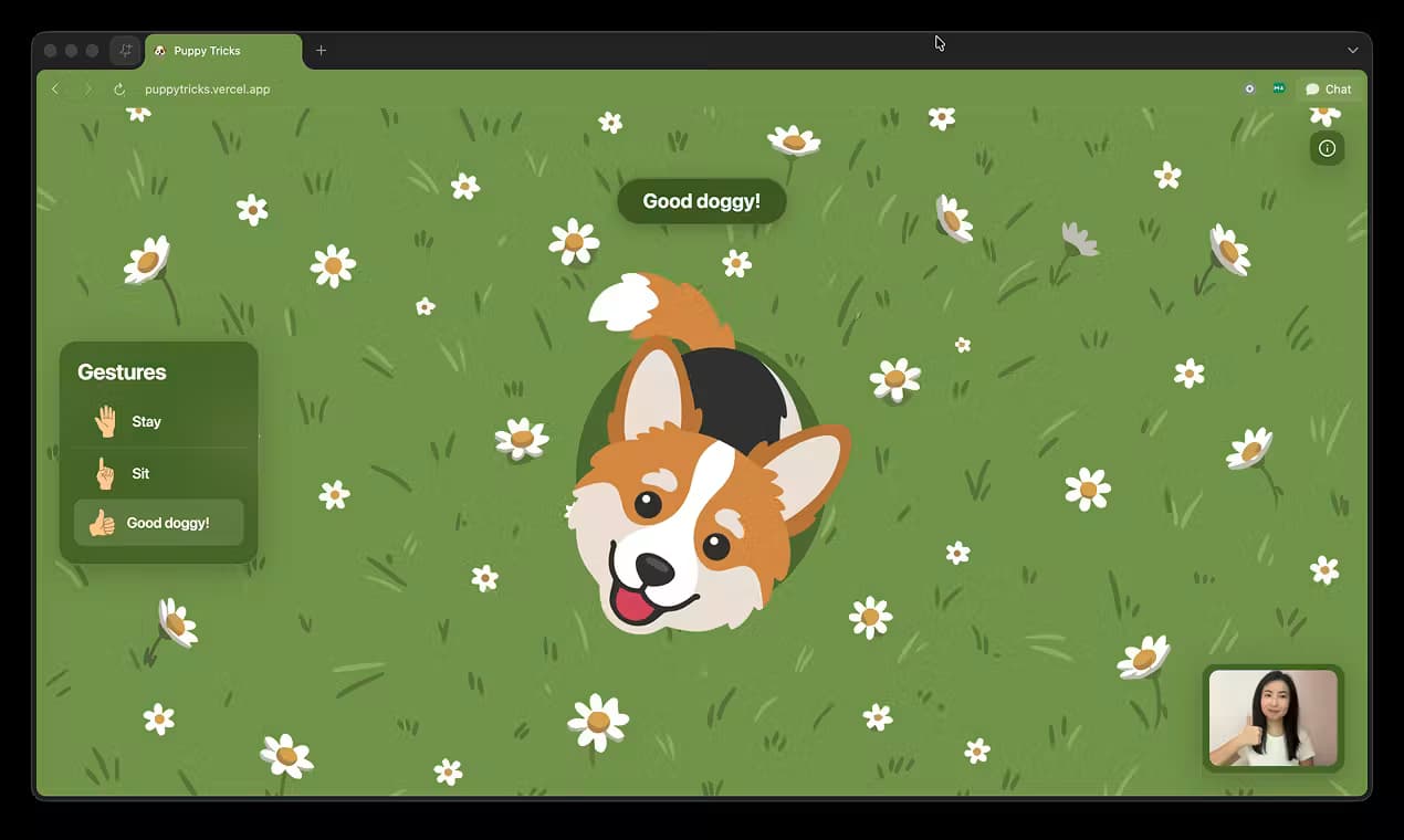 Puppy Tricks