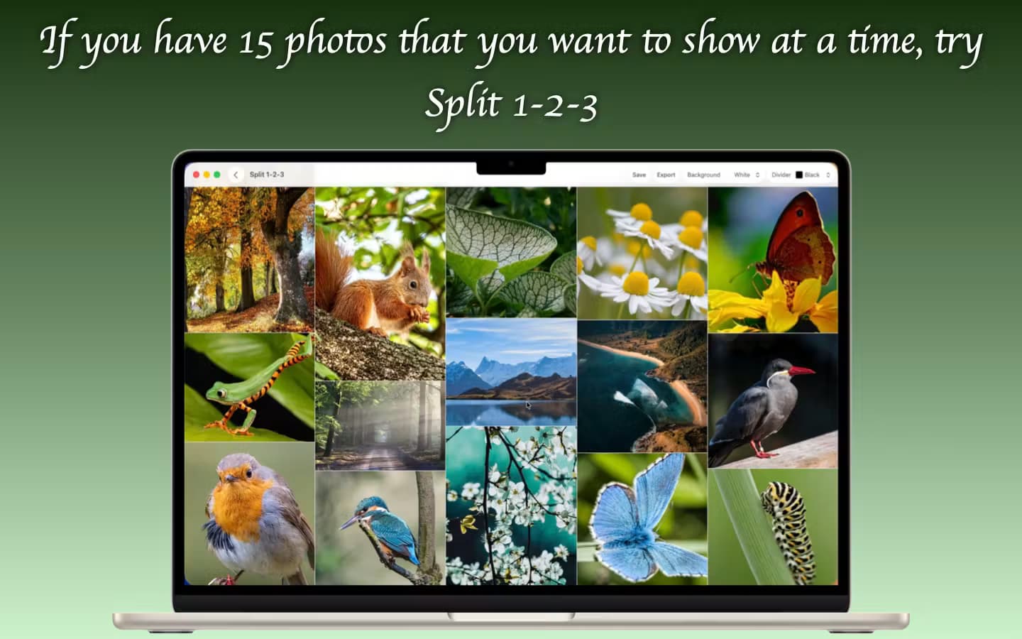 Split 1-2-3