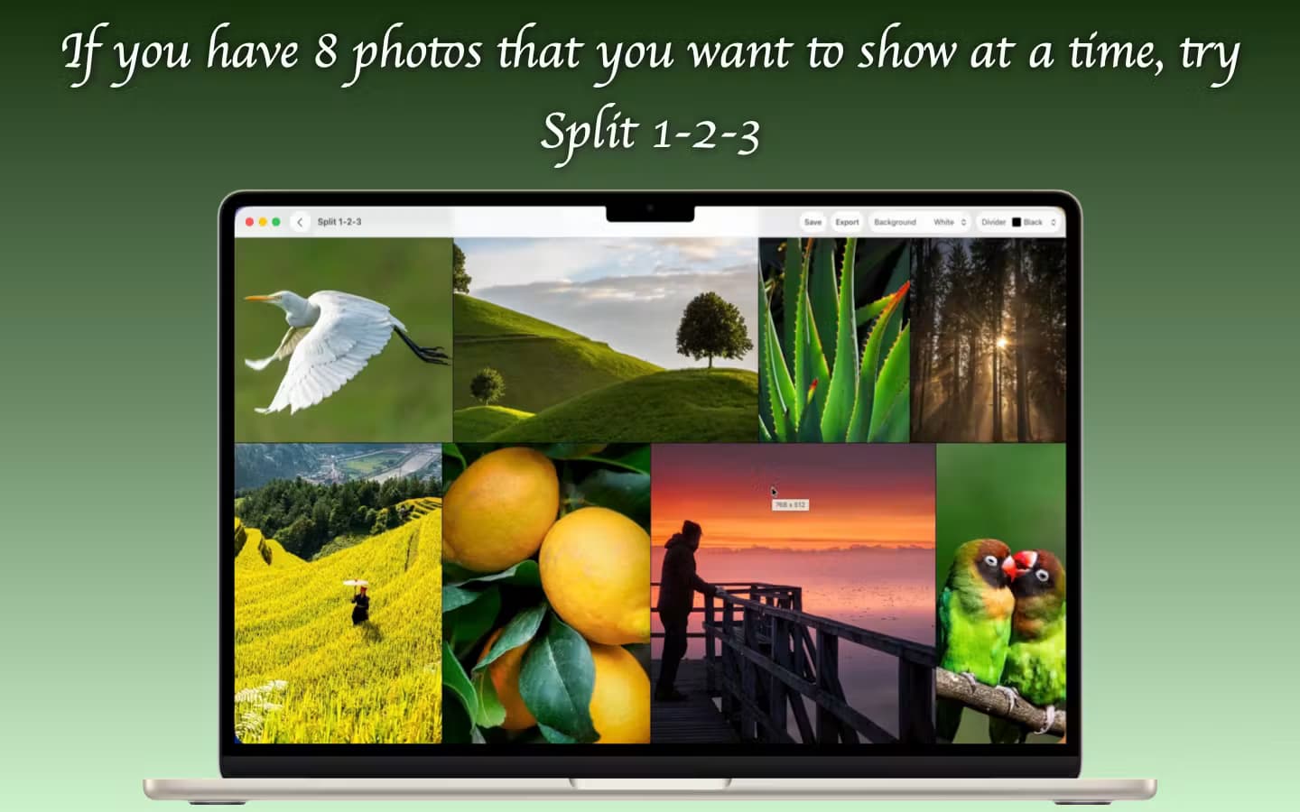 Split 1-2-3