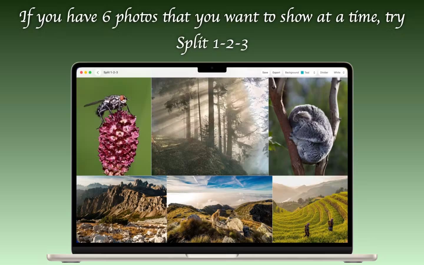 Split 1-2-3