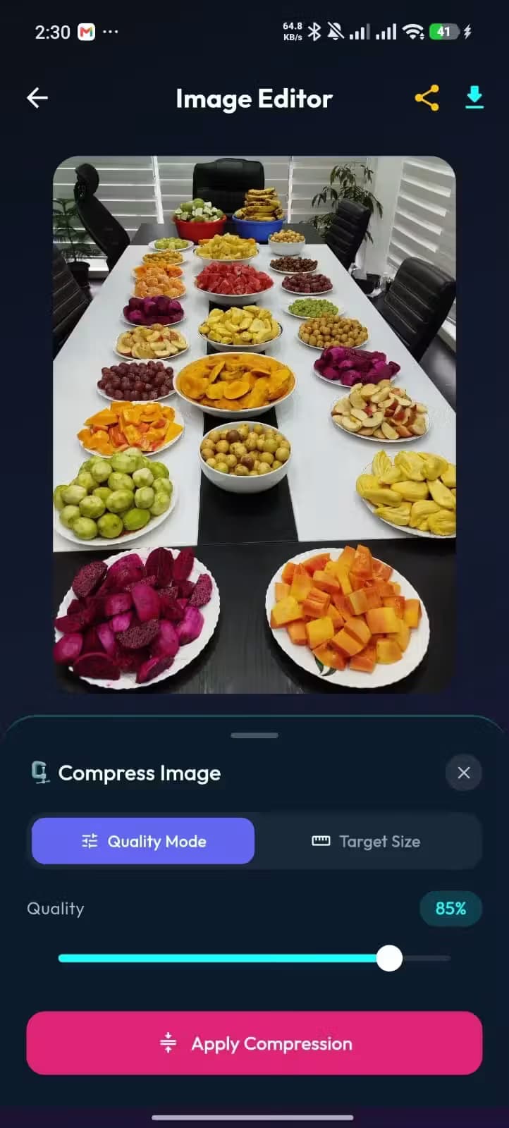 SqueezePix