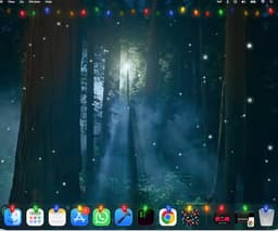 Holiday Lights
