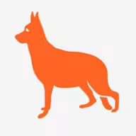 Indoor Dog Park