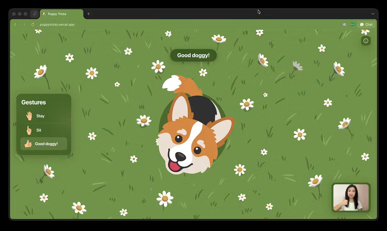 Puppy Tricks