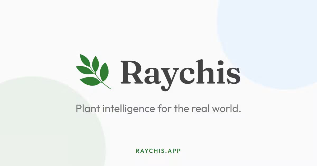 Raychis