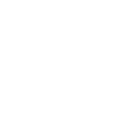 Morphic